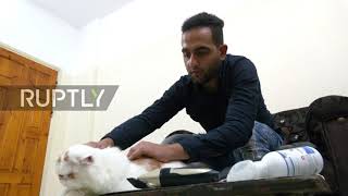 Not a hair out of place! Cat-lover transforms home into beauty salon for local kitties in Gaza