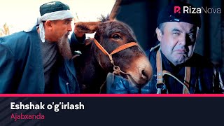 Ajabxanda - Eshshak o'g'irlash | Ажабханда - Эшшак угирлаш (hajviy ko'rsatuv)