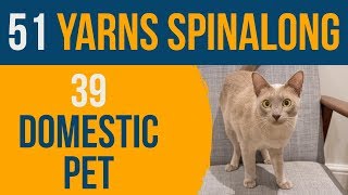 51 Yarns: 39 — Domestic Pet