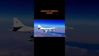 ???? ️Ту-160. Белый лебедь. Птица несущая страх #shorts #shortsvideo