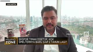 Roadmap Belum Ada, Kenapa Ekspor Timah Buru-buru Disetop?