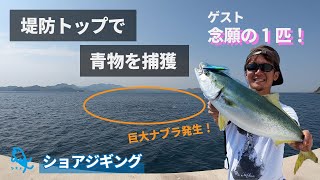 身近な堤防に行ってみると青物ナブラが迎えてくれた！【ショアジギング】【対馬中部】