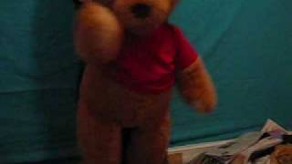 Winnie-ther-Pooh Costume Test