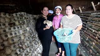 โครงการ9101 เพาะเห็ดนางฟ้าบ้านวังพะเนียด ตำบลเกตรี อำเภอเมืองสตูล จังหวัดสตูล
