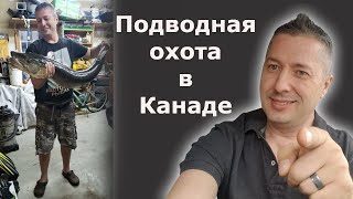 Подводная охота в Канаде ( анонс видео ) / Блогер и Хаски / Блогер БН / США