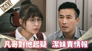 《好戲回甘》市井豪門 EP29 凡哥對他起疑 潔妹賣情報