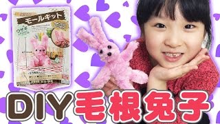 DIY大創買的毛根兔子材料包[NyoNyoTV妞妞TV]