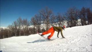 Lib Tech Skate Banana 2011