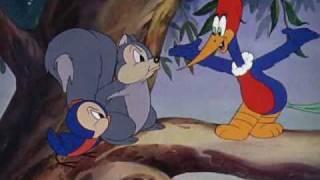 eMulinha info Pica Pau 001 Woody Woodpecker eMulinha info Pica Pau Biruta 1941 By Fudeba DVD Rip