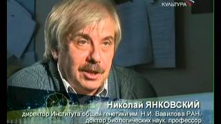 Легенда об Адаме и Еве