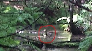 Los 10 videos más sosprendentes de grabaciones a Extraterrestres