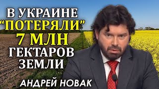 Куда исчезли 7 млн гектаров украинской земли?! Андрей Новак (укр)