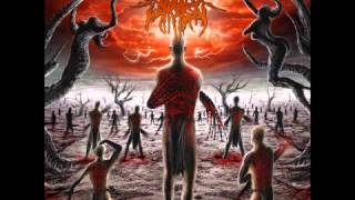 Begging For Incest - Bashed Beyond Recognition