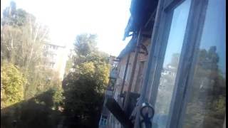 Выстрел в голубя с 3 метров, пистолетом воздушкой.