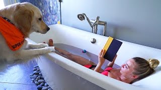 Life with a Golden Retriever
