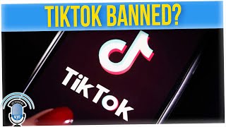 The U.S. is Considering Banning TikTok and Other Chinese Social Media Apps??