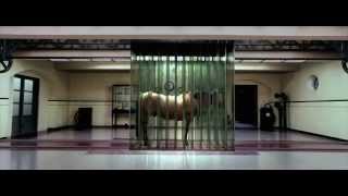 Examples of Surreal Moments in Cinema