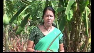 arunalu 08 03 09