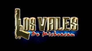 Los vales de Michoacan   Compa Manys