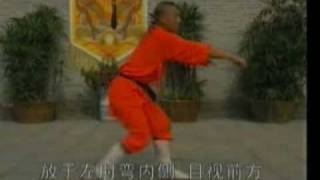 Shaolin_fundamentals_p_03