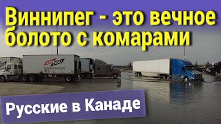 Виннипег - это вечное болото с комарами. Блогер БН