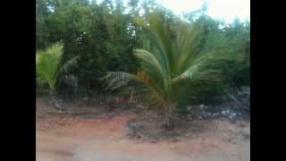 Sarteneja Corozal Belize Lot 749