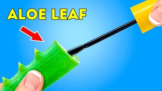 Beauty Recipes Every Girl Should Try || All-natural Green Hacks!