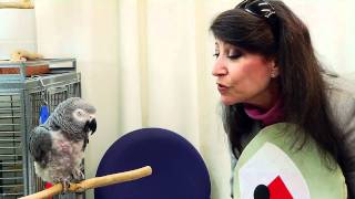 Talk to the Animals - Science Nation