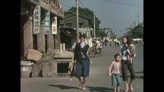 1950年代的臺灣社會（紀露霞 黃昏嶺）