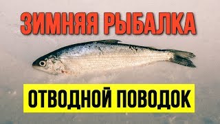 Как правильно и надёжно привязать отводной поводок Зимняя рыбалка Рипус
