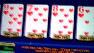 Novoline-American Poker Hans pusht 300!! American Poker Session