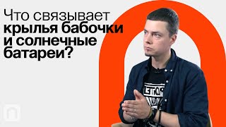 Что такое биомиметика / Федор Сенатов на ПостНауке