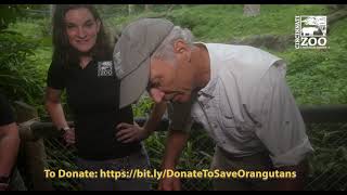 Eat Like an Orangutan Challenge - Cincinnati Zoo