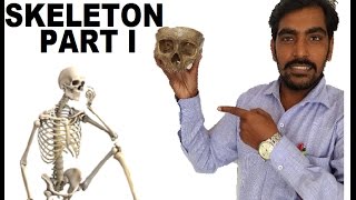 HOW TO REMEMBER HUMAN SKELETON 206 BONES - PART I SKULL