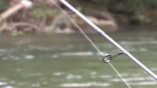 american tackle micro wave - slow motion 1