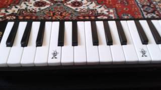 Atatürk Çocukları Cide Melodika