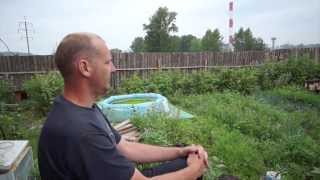 Чупакабра в Ревде (Свердловская область)