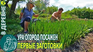 Ура, огород посажен! Начинаем заготовки! Жизнь Гордеевых в деревне - Влог 6