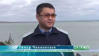 Зарыбление Шульбинского водохранилища.