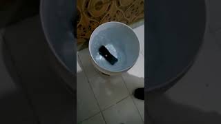 Testing my new JBL flip4 # water test