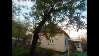 на 5 мая появились зелёные ягоды шелковицы и вишни.побеги винограда  60см