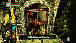 Dark Souls: Asylum Demon Walkthrough (Sorcerer)