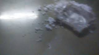 cho phao pokemon no va thi nghiem part2