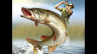 Пакет щуки за пол часа! Воблер PONTOON21 GAGAGOON