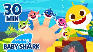 Shark Finger Family and More | +Compilation | Baby Shark Songs 