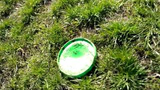 Полет фрисби для собак, Флайбер, замедленная сьемка, Flyber COLLAR купить.