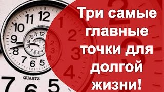 Три  важнейшие точки Долгой Жизни!