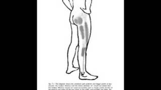 The Mortons Toe, or Why You Really Hurt: It All Starts In The Foot