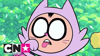 Самые милые котики Cartoon Network | Cartoon Network