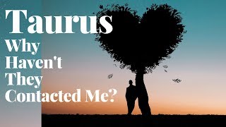 Taurus - They're So Down / Depressed? / They Want You So Bad / You Are Their Wish -
